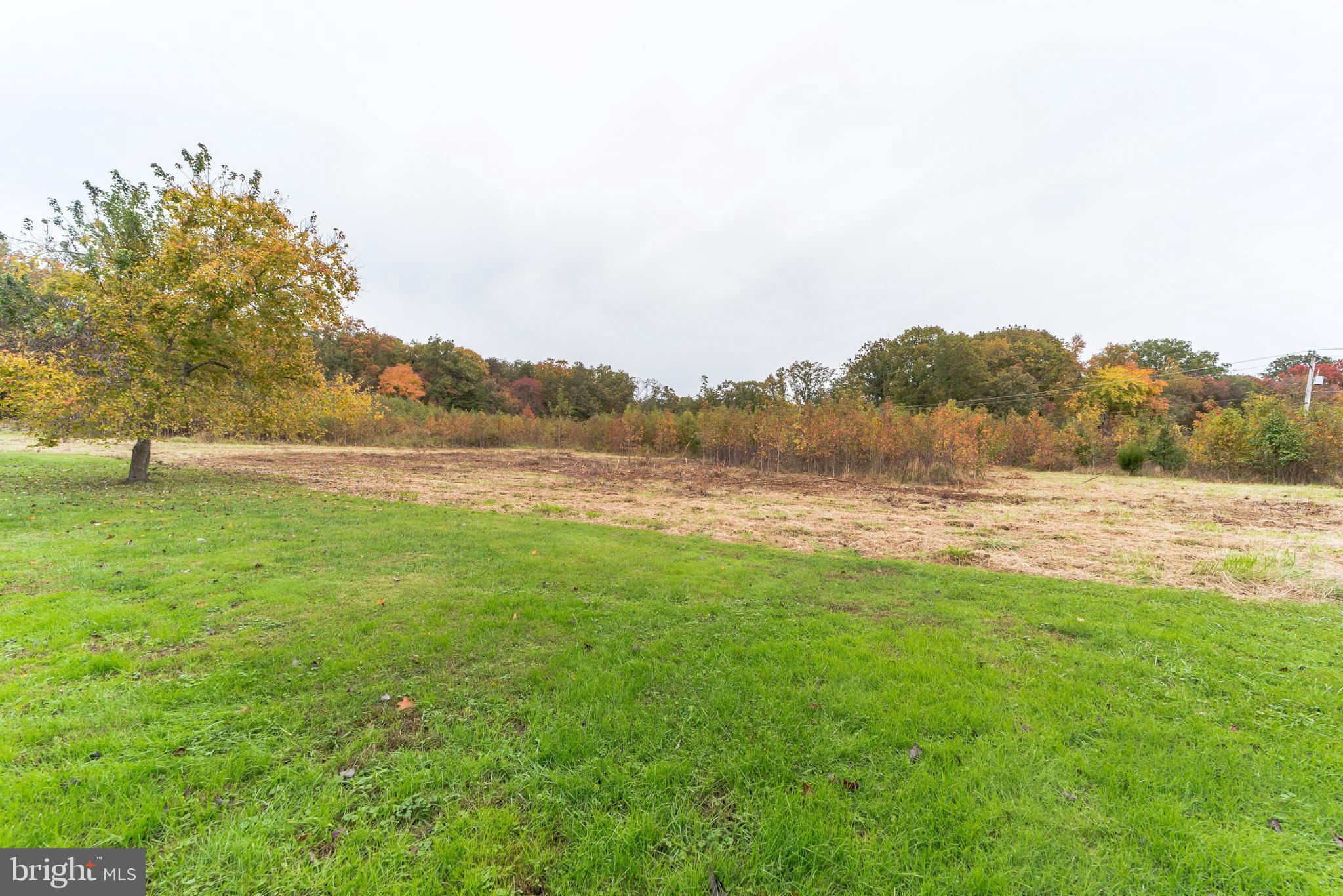 438 Red Toad Road North East, MD 21901 - Photo 32 of 32 Gallery Image 32
