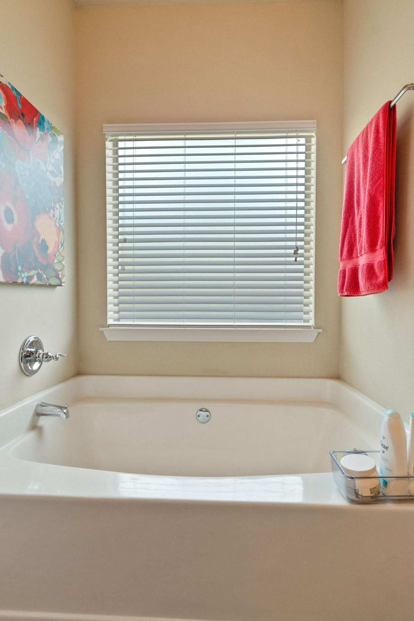 21 Kinley Avenue Santa Rosa Beach, FL 32459 - Photo 15 of 20 DSC07950