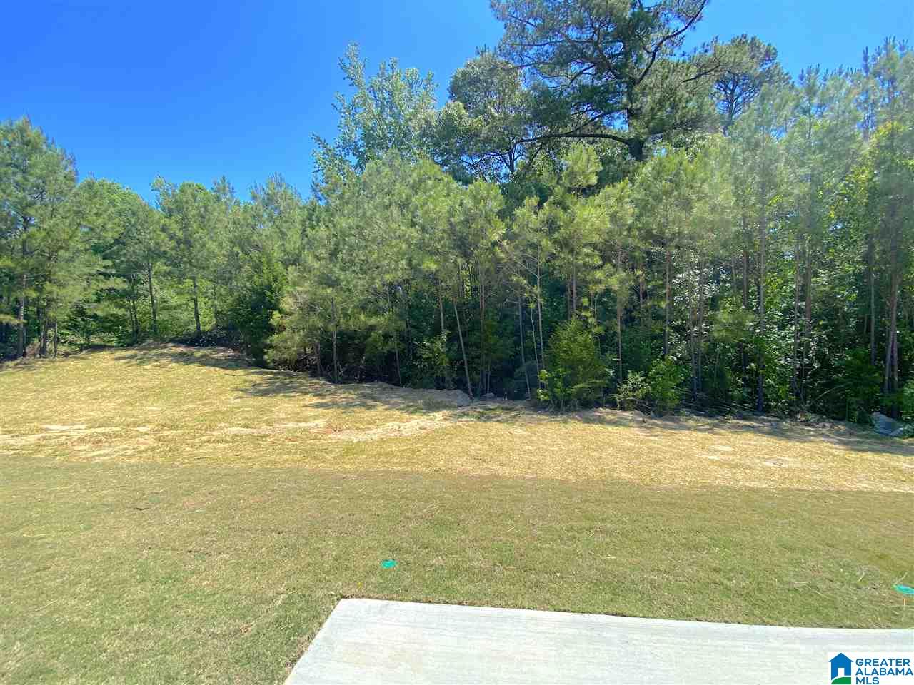 11593 Crimson Ridge Road Brookwood, AL 35444 - Photo 25 of 25