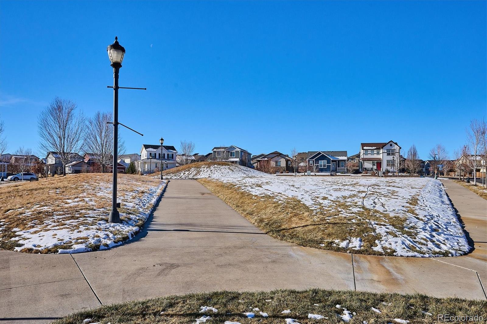 4488 Grapevine Way Castle Rock, CO 80109 - Photo 37 of 46 a view of a house with a snow on the road