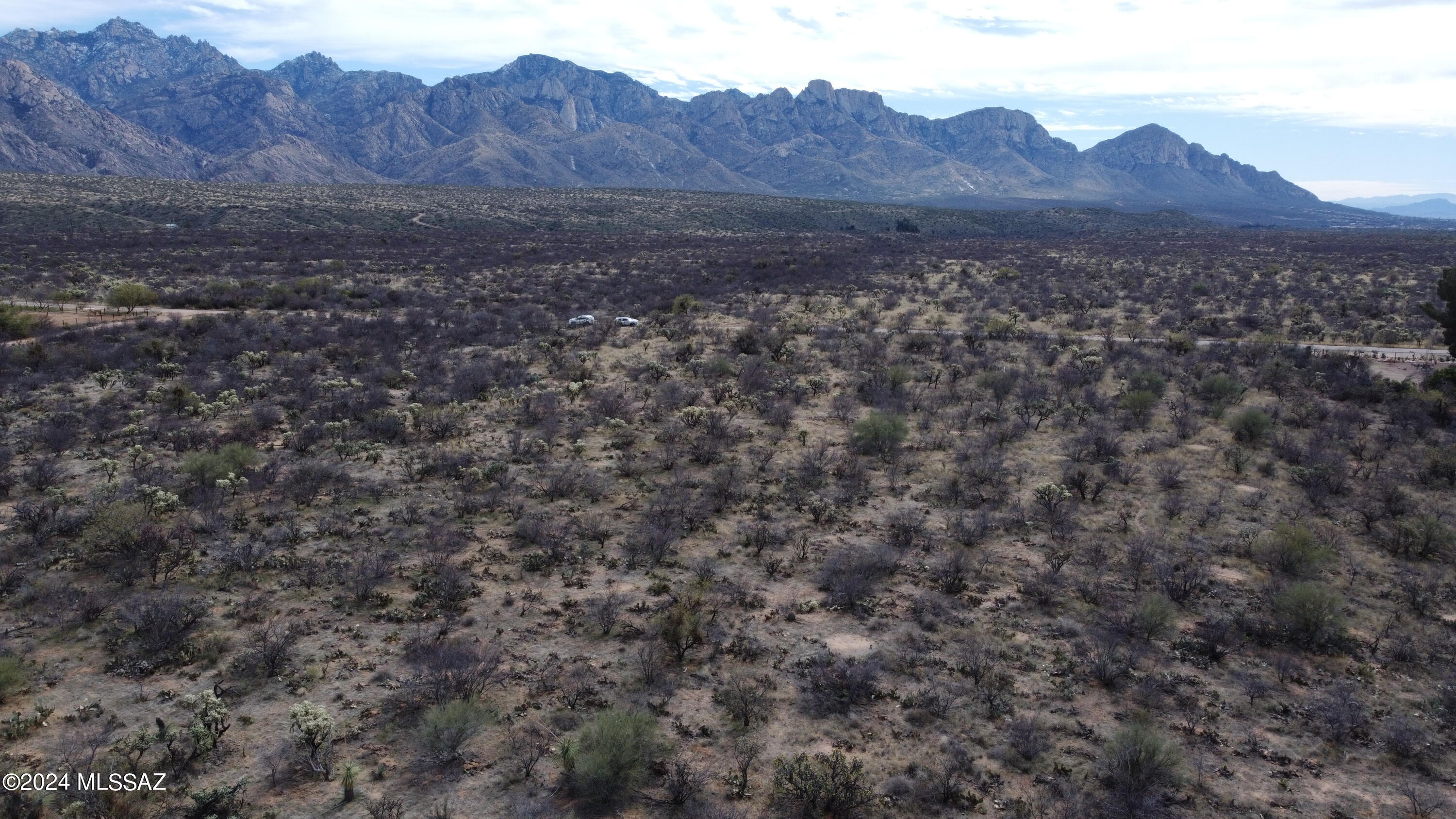 3691 East Rollins Road Tucson, AZ 85739 - Photo 11 of 12