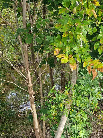 $199,000 | 130 Morgan Street, Bennington, VT 05201