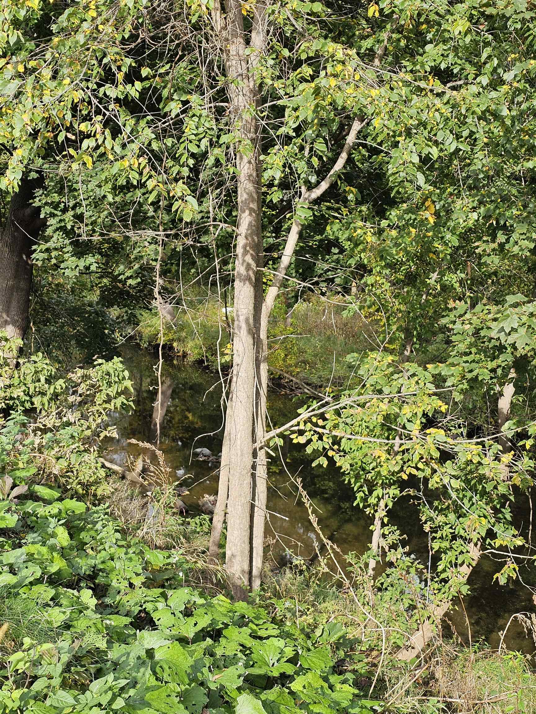 130 Morgan Street Bennington, VT 05201 - Photo 17 of 52