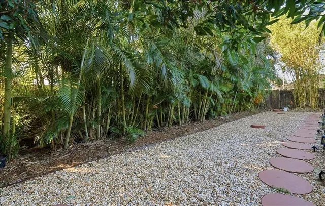 a view of a yard with plants and trees