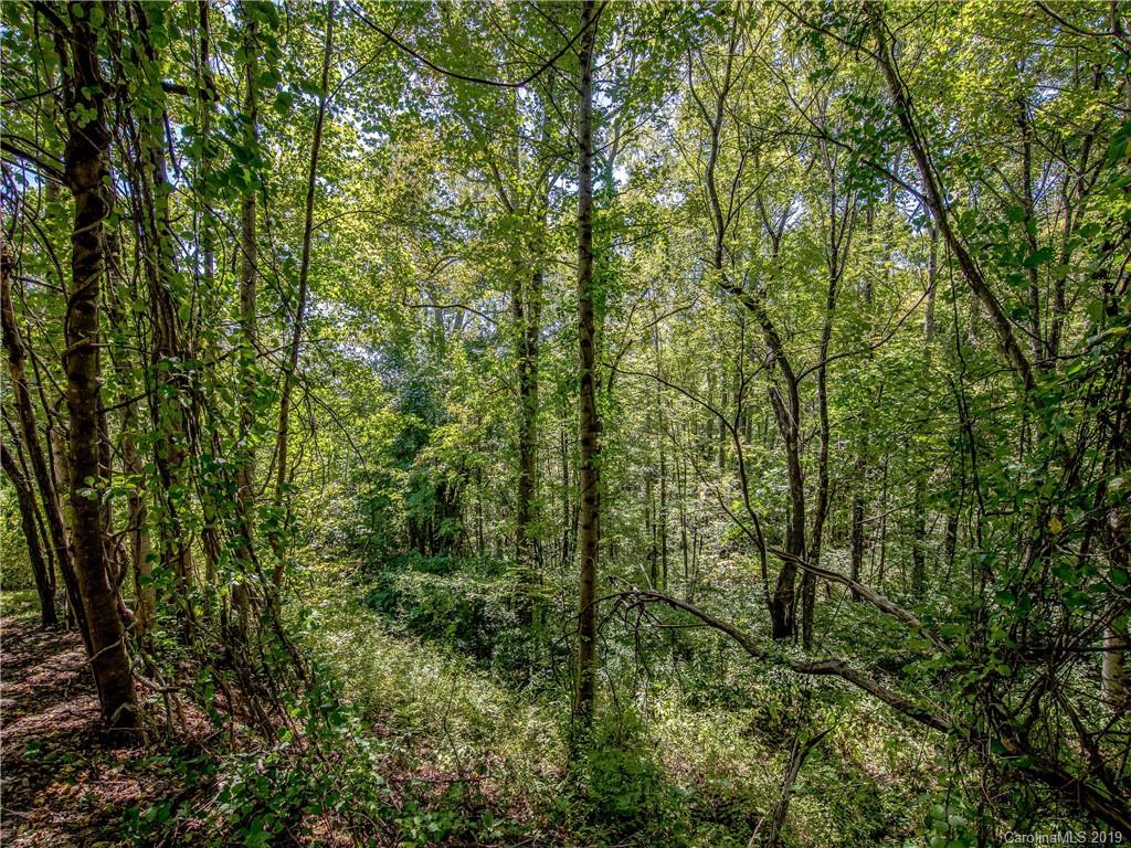 8 Poplar Forest Road Fairview, NC 28730 - Photo 12 of 21 Gallery Image 12