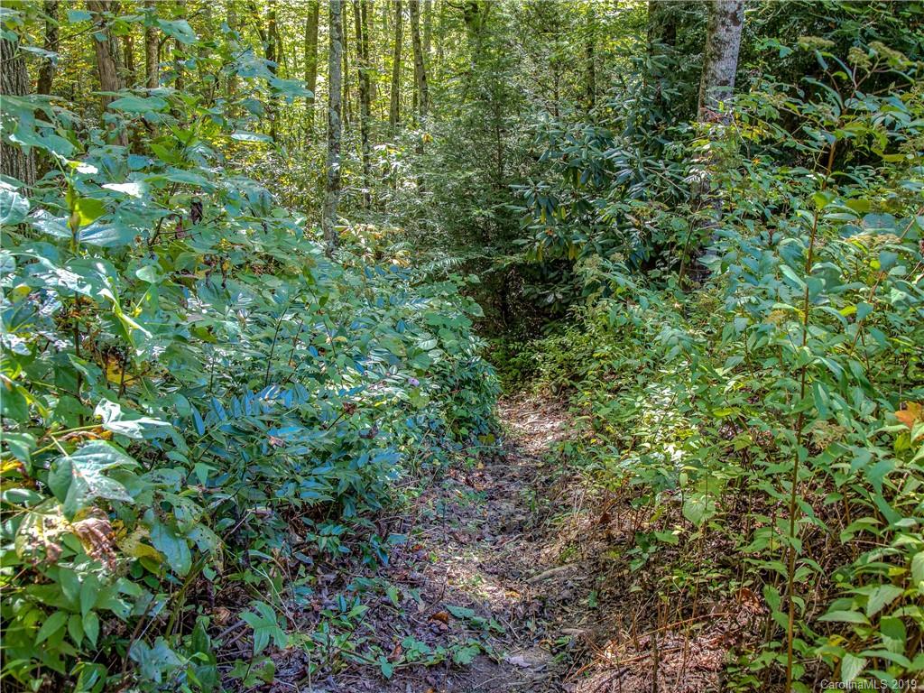 8 Poplar Forest Road Fairview, NC 28730 - Photo 7 of 21 Gallery Image 7