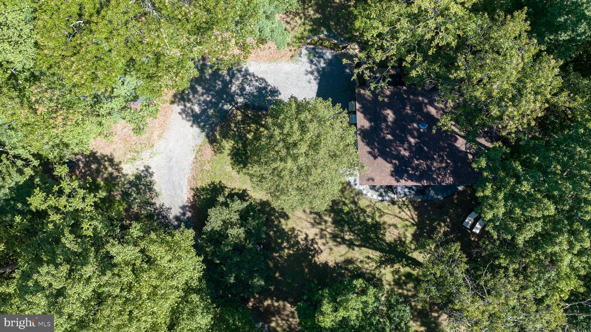 11408 Dutch Hollow Road Culpeper, VA 22701 - Photo 76 of 85