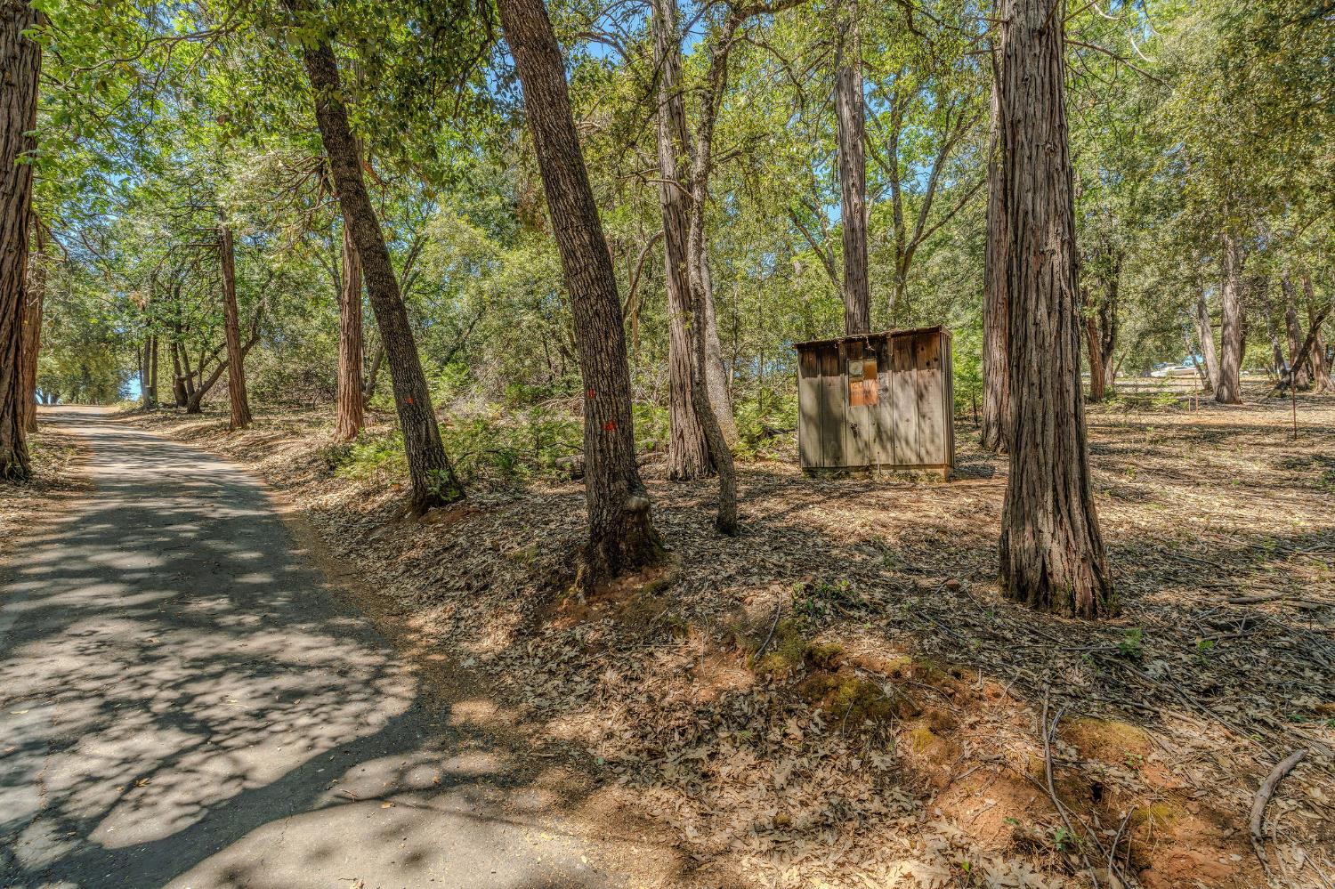 20117 Neilson Road Pine Grove, CA 95665 - Photo 17 of 32 Gallery Image 17