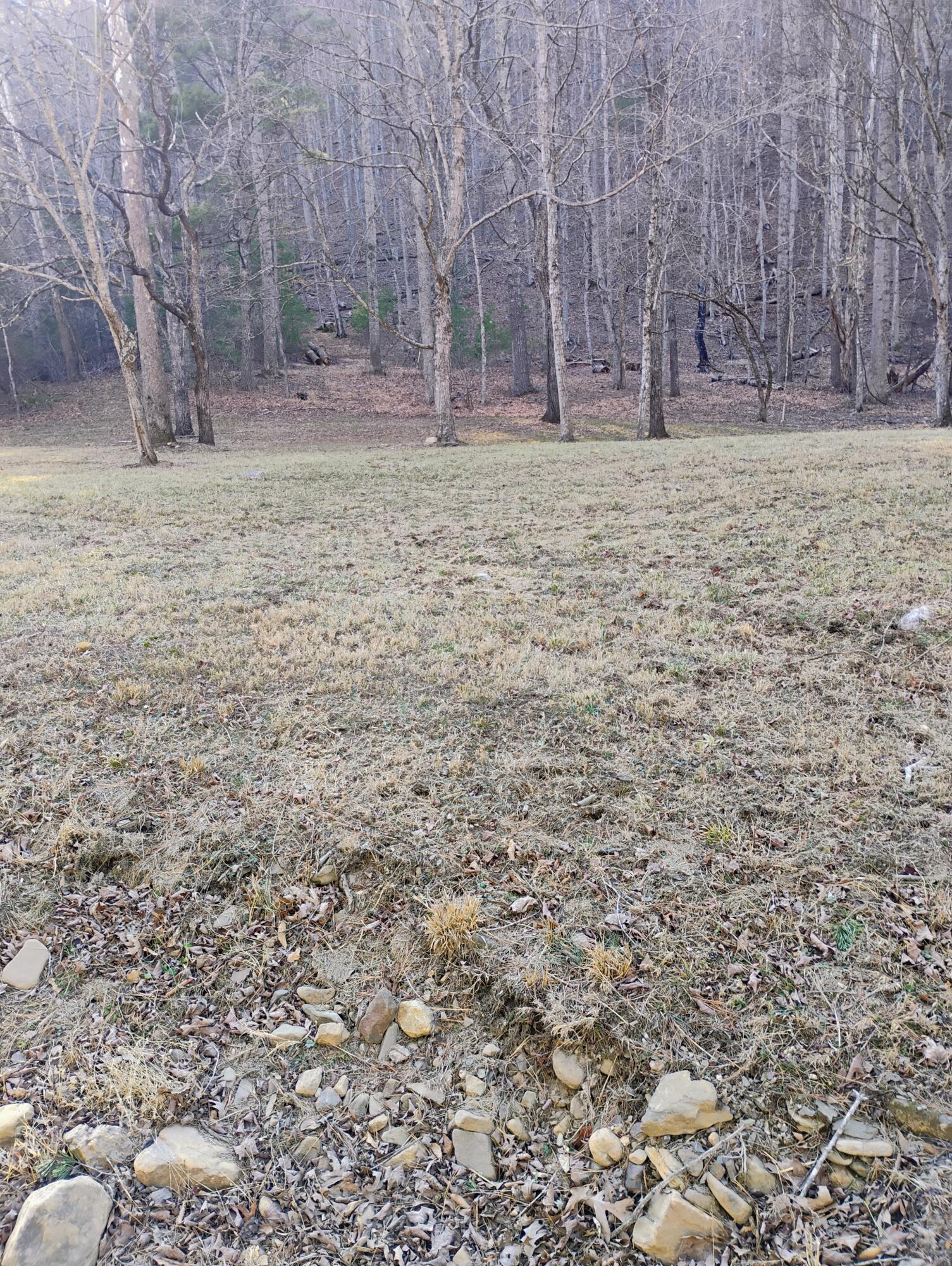 0 Miller Cove Road Catawba, VA 24070 - Photo 2 of 2 a view of a yard with trees