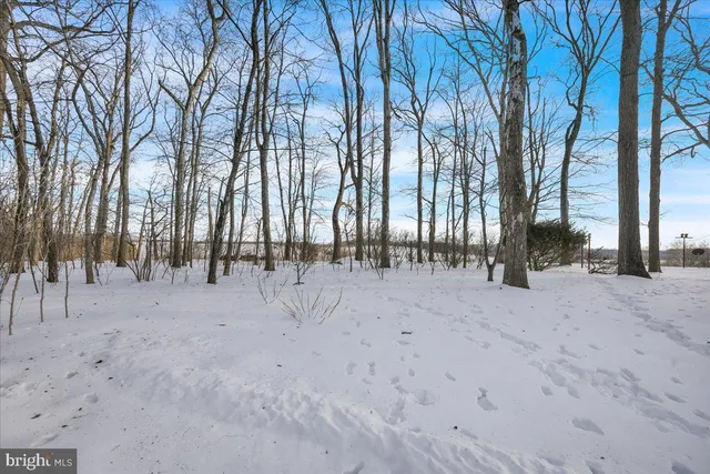 a view of outdoor space with lots of trees