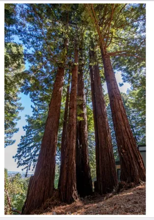 $1,100,000 | 215 Grandview Drive, Woodside, CA 94062