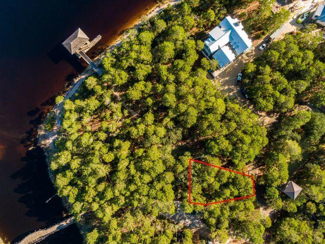 Lot 6 Cedar Post Road Santa Rosa Beach, FL 32459 - Photo 4 of 13 a picture of a tree