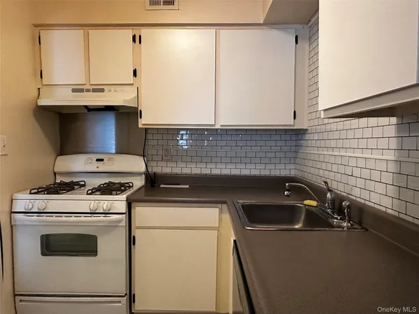 a kitchen with a stove and a sink