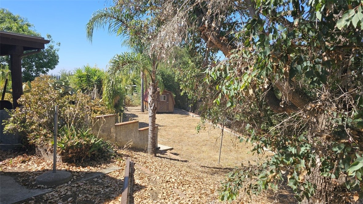 4011 Alta Vista Drive Fallbrook, CA 92028 - Photo 7 of 27 a view of yard