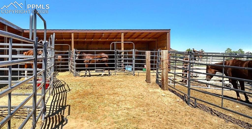20523 Silverado Hl Loop Colorado Springs, CO 80928 - Photo 7 of 13 HORSE STALLS