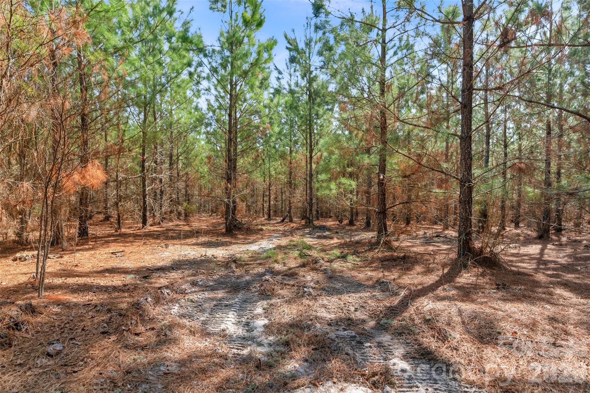 931 Charlie Johnson Road, Unit 11 Kershaw, SC 29067 - Photo 21 of 27 Gallery Image 21