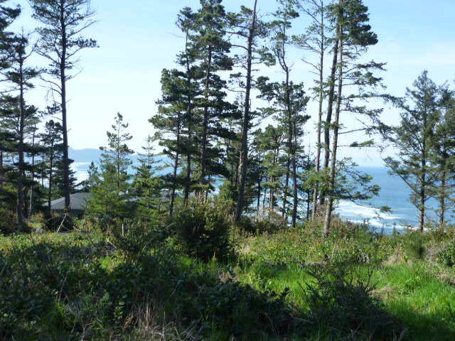 Terrasea Way Tillamook, OR 97141 - Photo 1 of 1 Lot