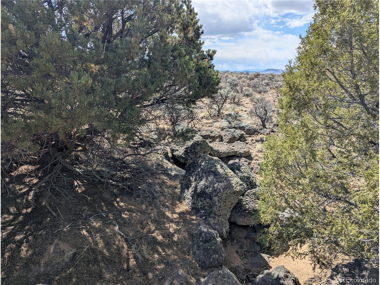 2 Mesitas Road San Luis, CO 81152 - Photo 3 of 19