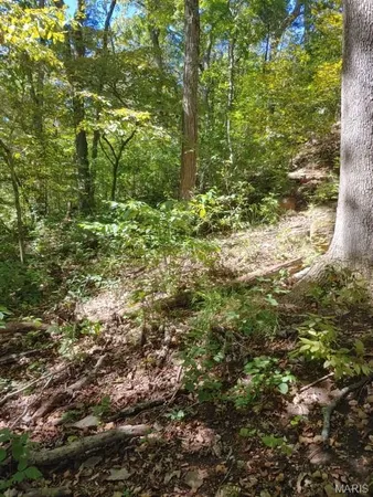 $18,000 | 1848 Prince John Court, Marthasville, MO 63357