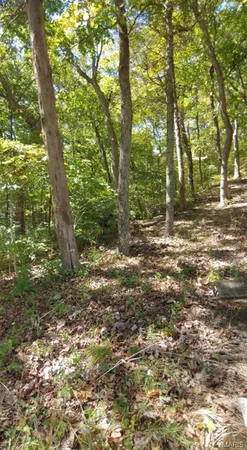 $18,000 | 1848 Prince John Court, Marthasville, MO 63357