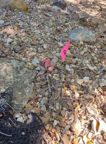 $30,000 | 1848 Prince John Court, Marthasville, MO 63357