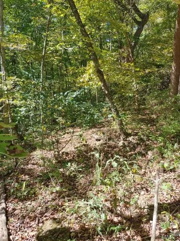 $30,000 | 1848 Prince John Court, Marthasville, MO 63357