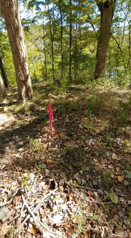 $30,000 | 1848 Prince John Court, Marthasville, MO 63357