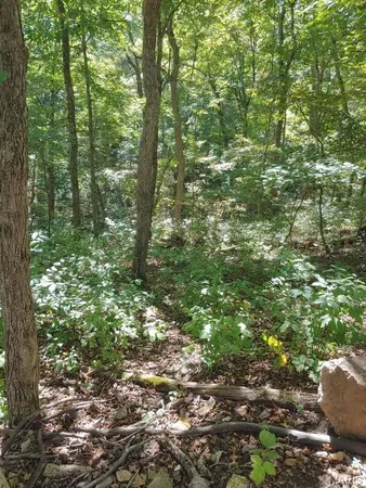 $18,000 | 1848 Prince John Court, Marthasville, MO 63357