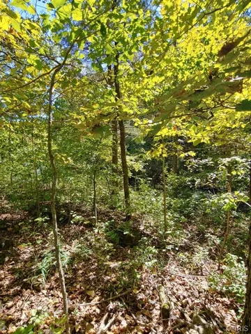 $30,000 | 1848 Prince John Court, Marthasville, MO 63357