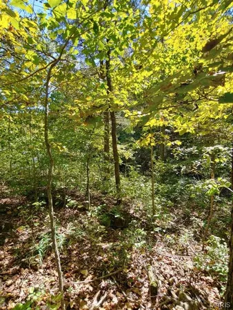 $18,000 | 1848 Prince John Court, Marthasville, MO 63357