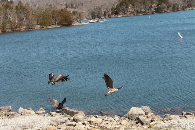 $30,000 | 1848 Prince John Court, Marthasville, MO 63357