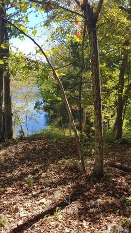 $30,000 | 1848 Prince John Court, Marthasville, MO 63357