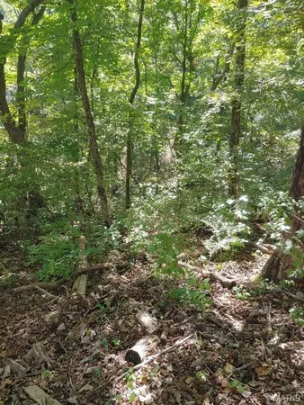 $18,000 | 1848 Prince John Court, Marthasville, MO 63357