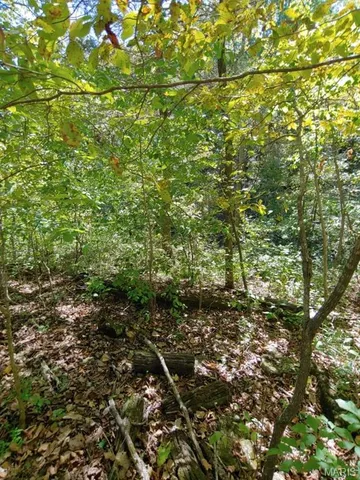 $30,000 | 1848 Prince John Court, Marthasville, MO 63357