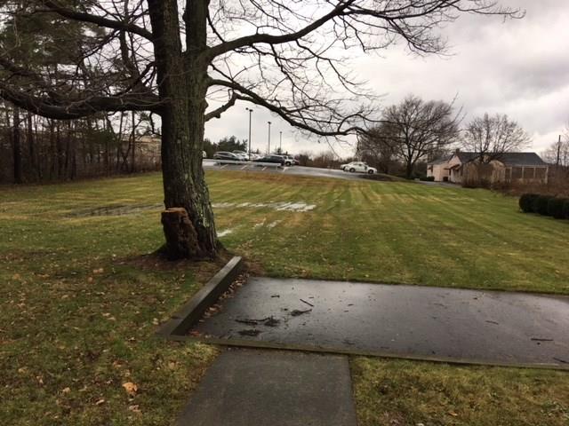 735 Shenango Road Beaver Falls, PA 15010 - Photo 3 of 15 Rear Yard view