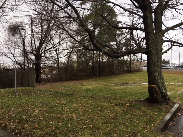 735 Shenango Road Beaver Falls, PA 15010 - Photo 4 of 15 Rear Yard View