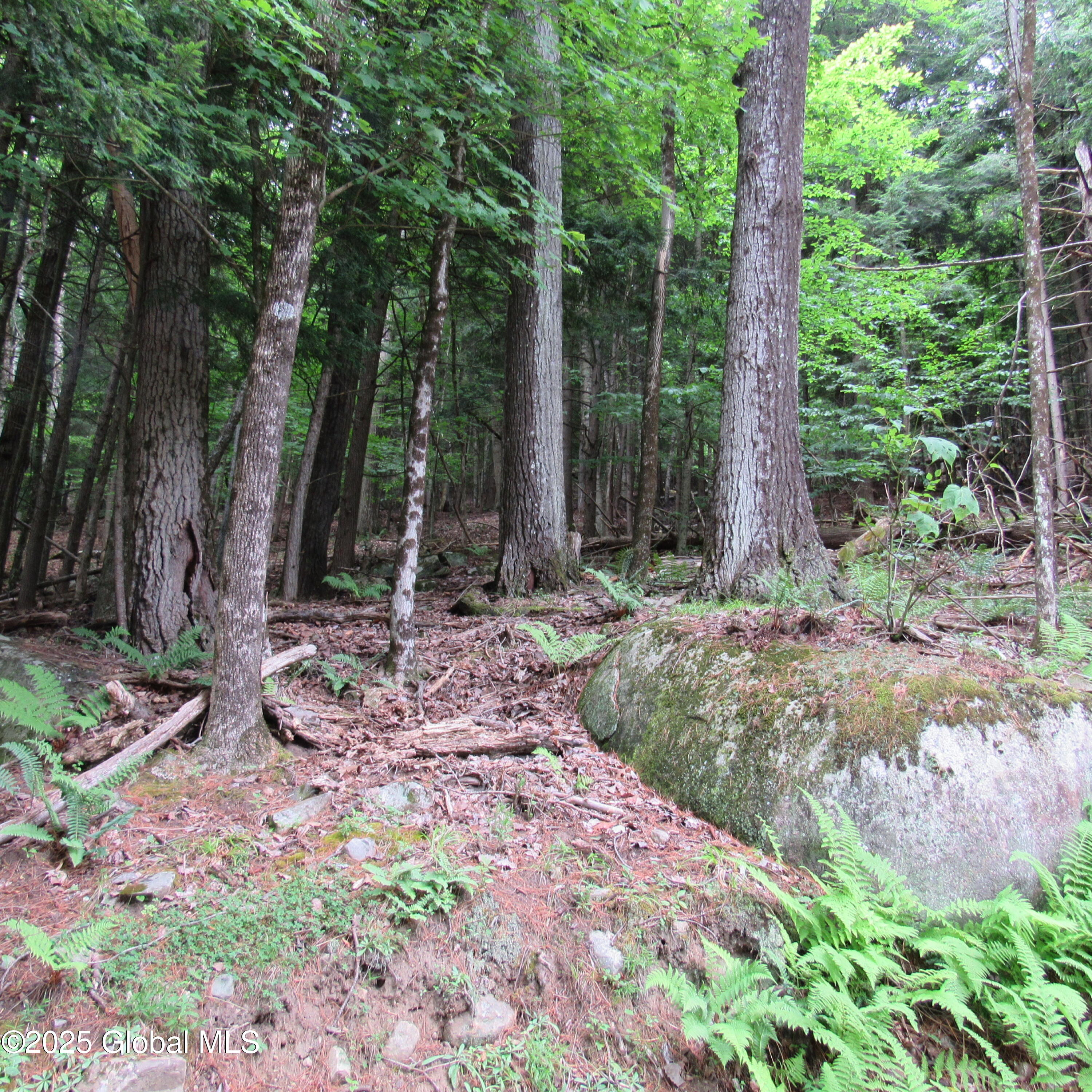 2348 South Shore Road Hadley, NY 12835 - Photo 11 of 19 IMG_1750