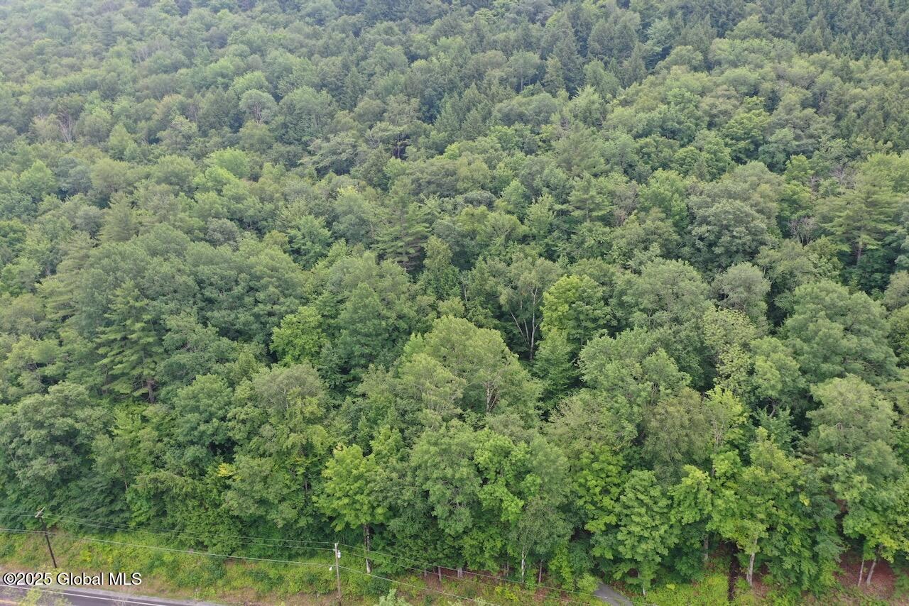 2348 South Shore Road Hadley, NY 12835 - Photo 3 of 19 DJI_0146