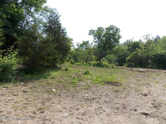 5 B Puckett Road Lawrenceburg, KY 40342 - Photo 3 of 3 Lot