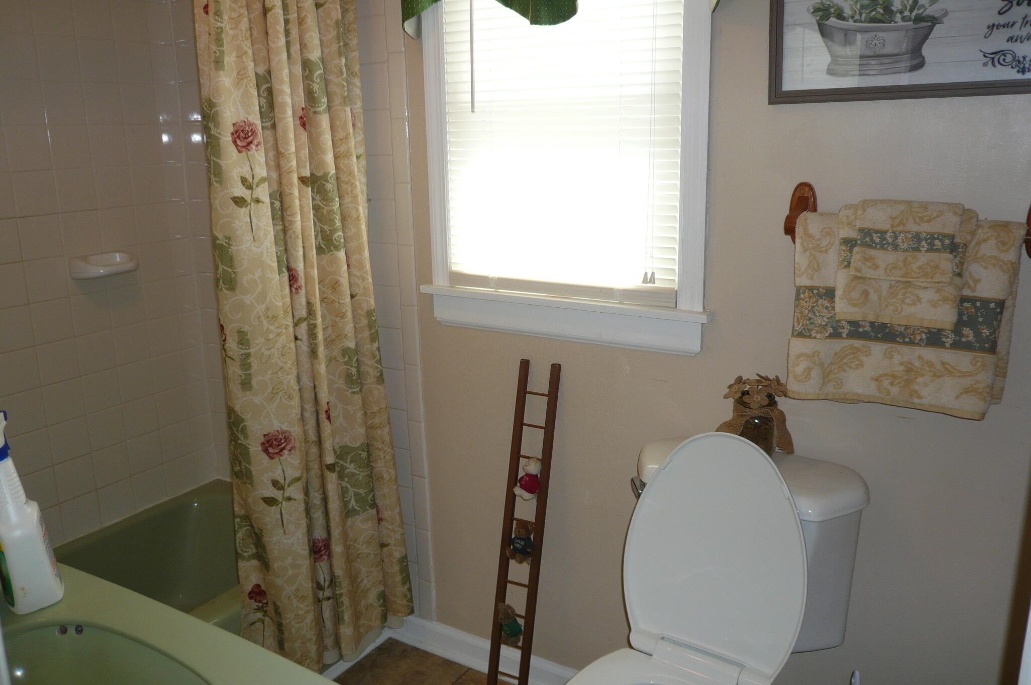 7330 Cove Hollow Road Elliston, VA 24087 - Photo 5 of 13 P1000703