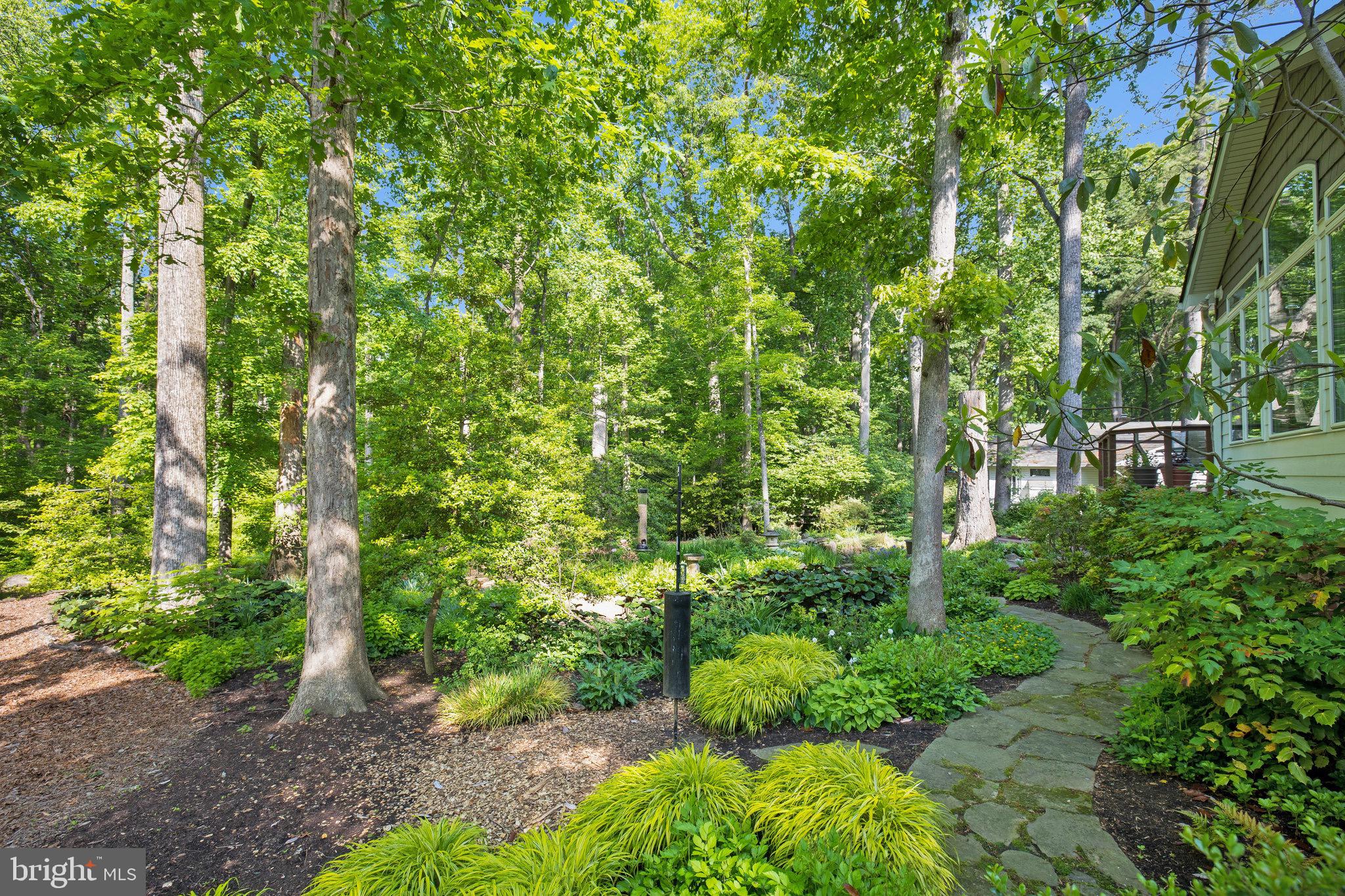 2416 Silver Fox Lane Reston, VA 20191 - Photo 12 of 60 Nature Filled Rear Yard