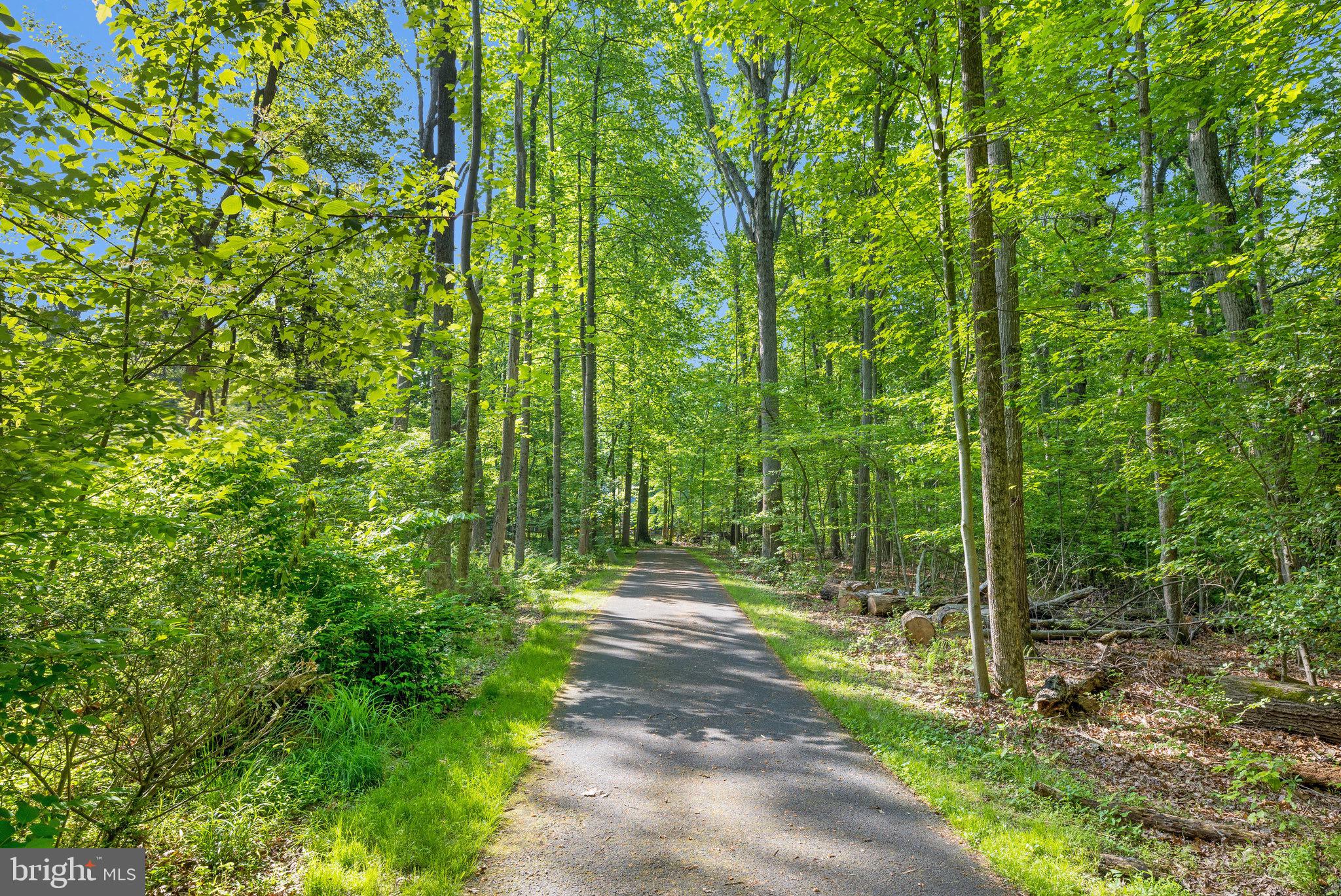 2416 Silver Fox Lane Reston, VA 20191 - Photo 56 of 60 Perfect for Walking, Biking, Hiking & more