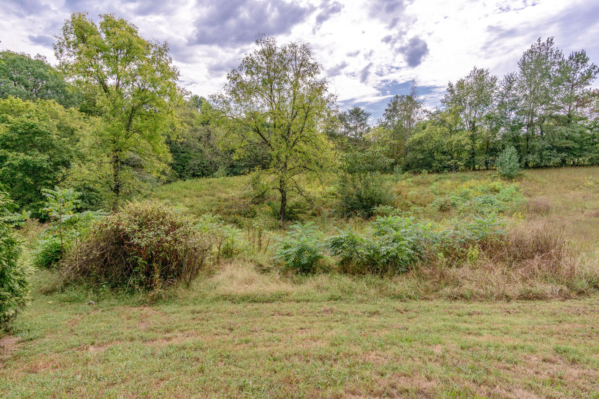 695 Mt Olivet Road Columbia, TN 38401 - Photo 26 of 30 Gallery Image 26