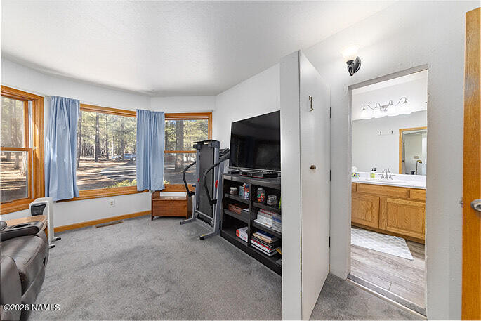 360 South Golden Mdws Trail Williams, AZ 86046 - Photo 13 of 29 The Secret Bathroom