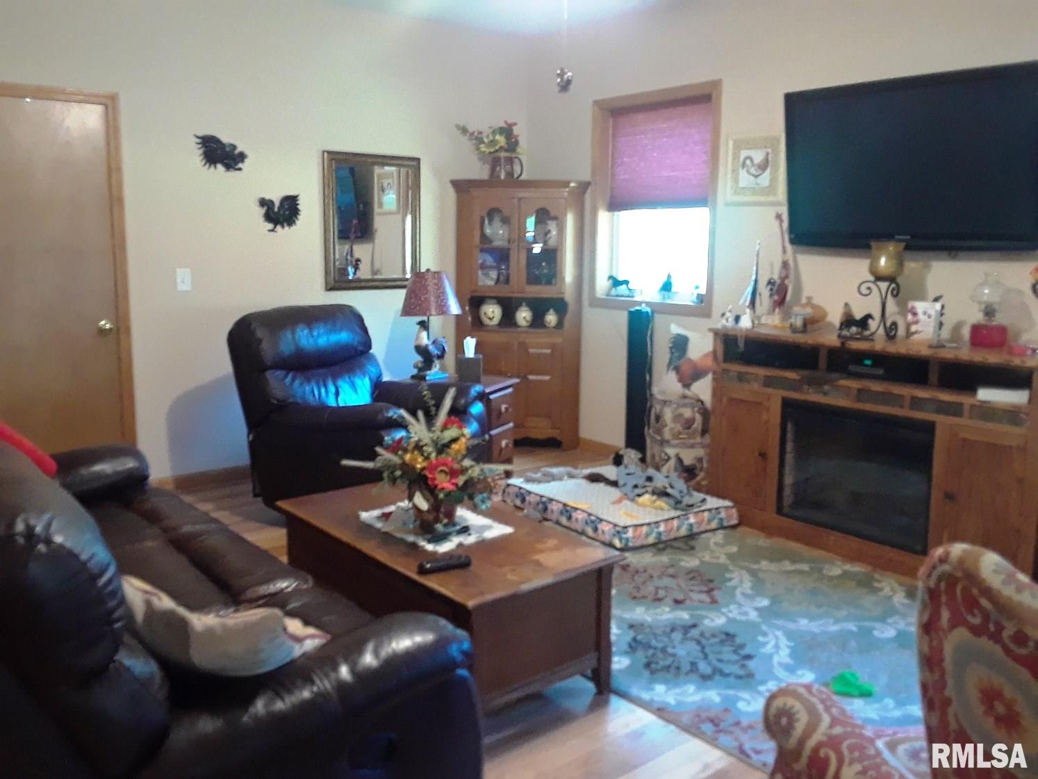 11018 Berry Brook Road Modesto, IL 62667 - Photo 14 of 31