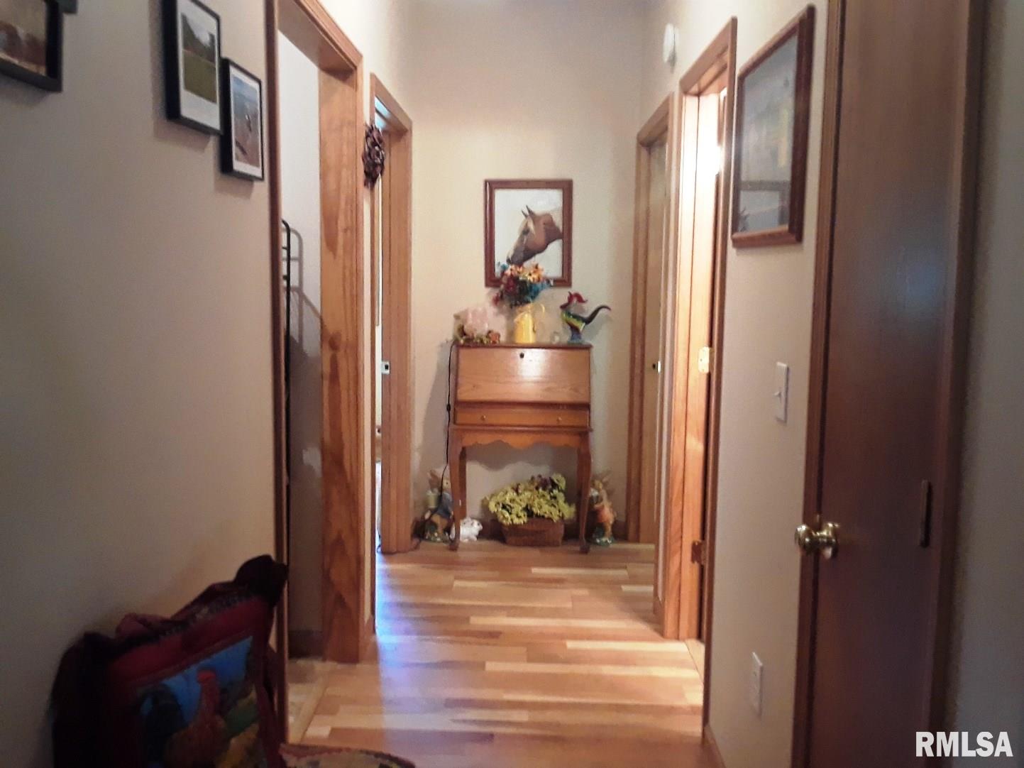 11018 Berry Brook Road Modesto, IL 62667 - Photo 19 of 31