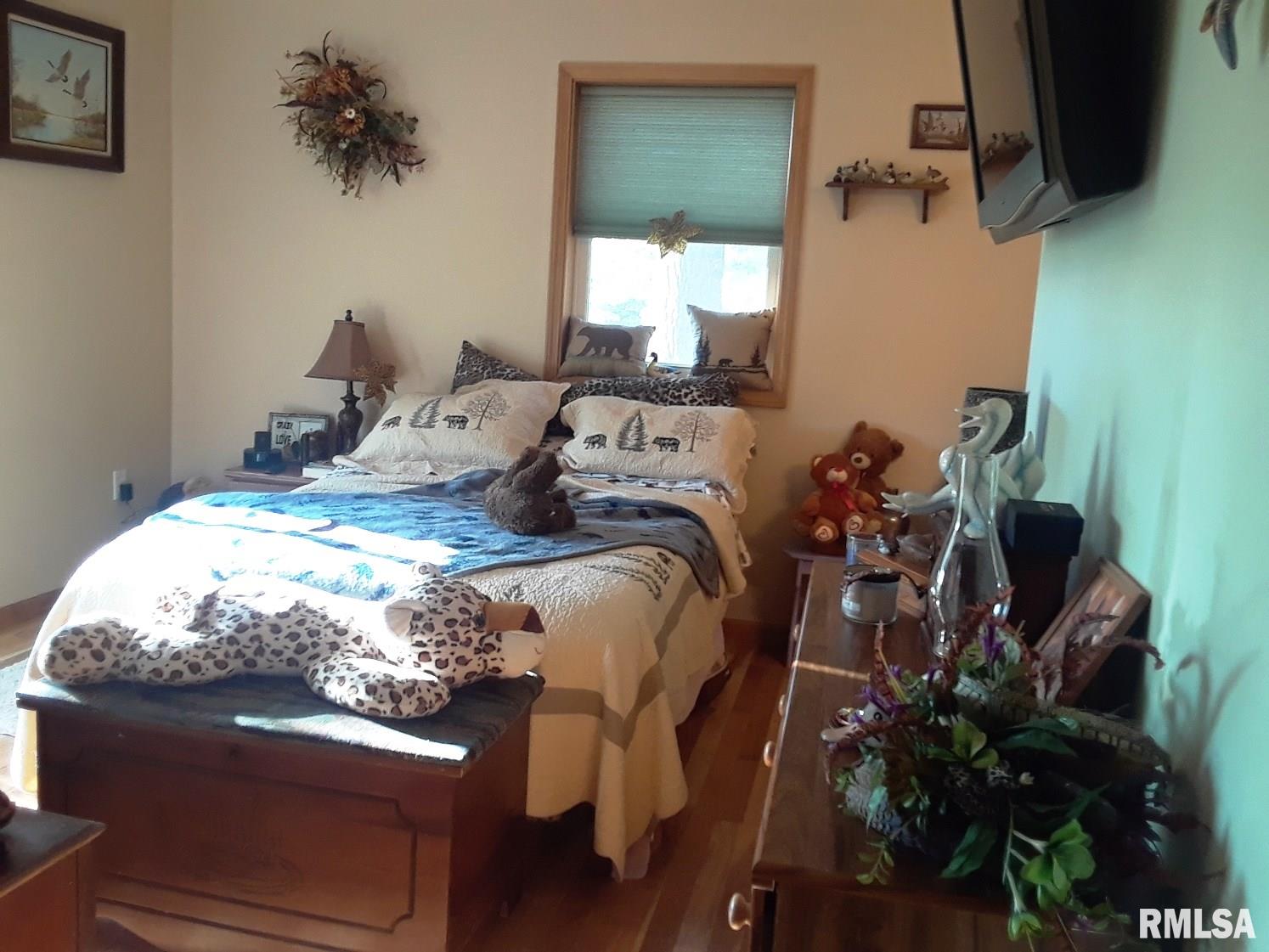 11018 Berry Brook Road Modesto, IL 62667 - Photo 20 of 31