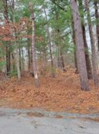 20 Wedgewood Drive Barnstable, MA 02632 - Photo 1 of 3 a view of a yard