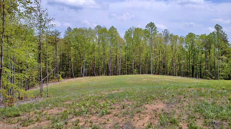 10 Misty Mountain Road Germanton, NC 27019 - Photo 11 of 17 Gallery Image 11