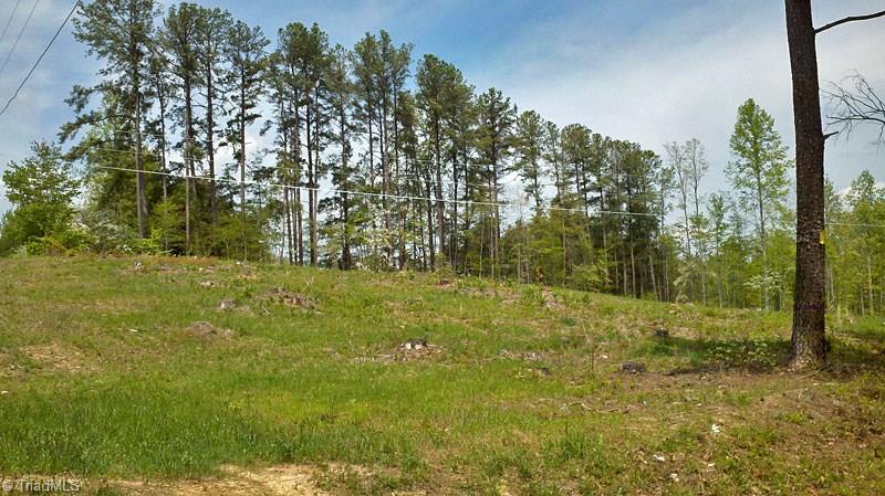 10 Misty Mountain Road Germanton, NC 27019 - Photo 12 of 17 Gallery Image 12